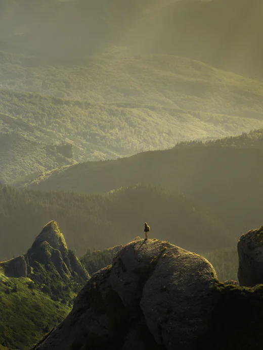 Landscape edit